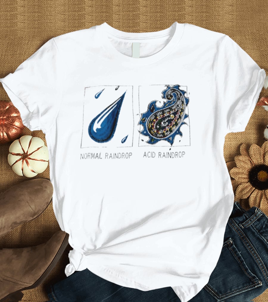 Normal Raindrop Acid Raindrop Science Humor Cartoon T-Shirt