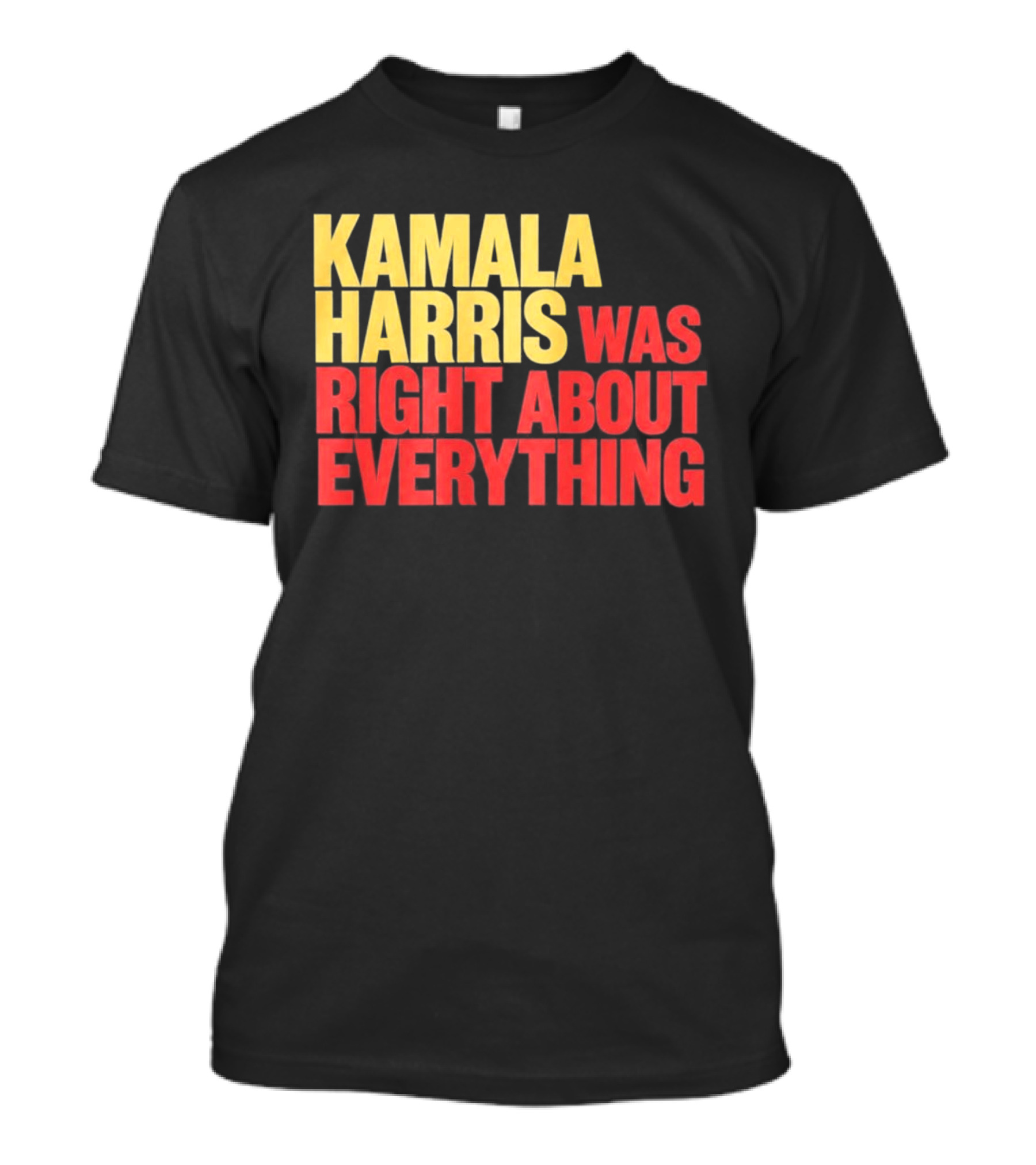 Kamala Harris Was Right About Everything 2028 T-Shirt