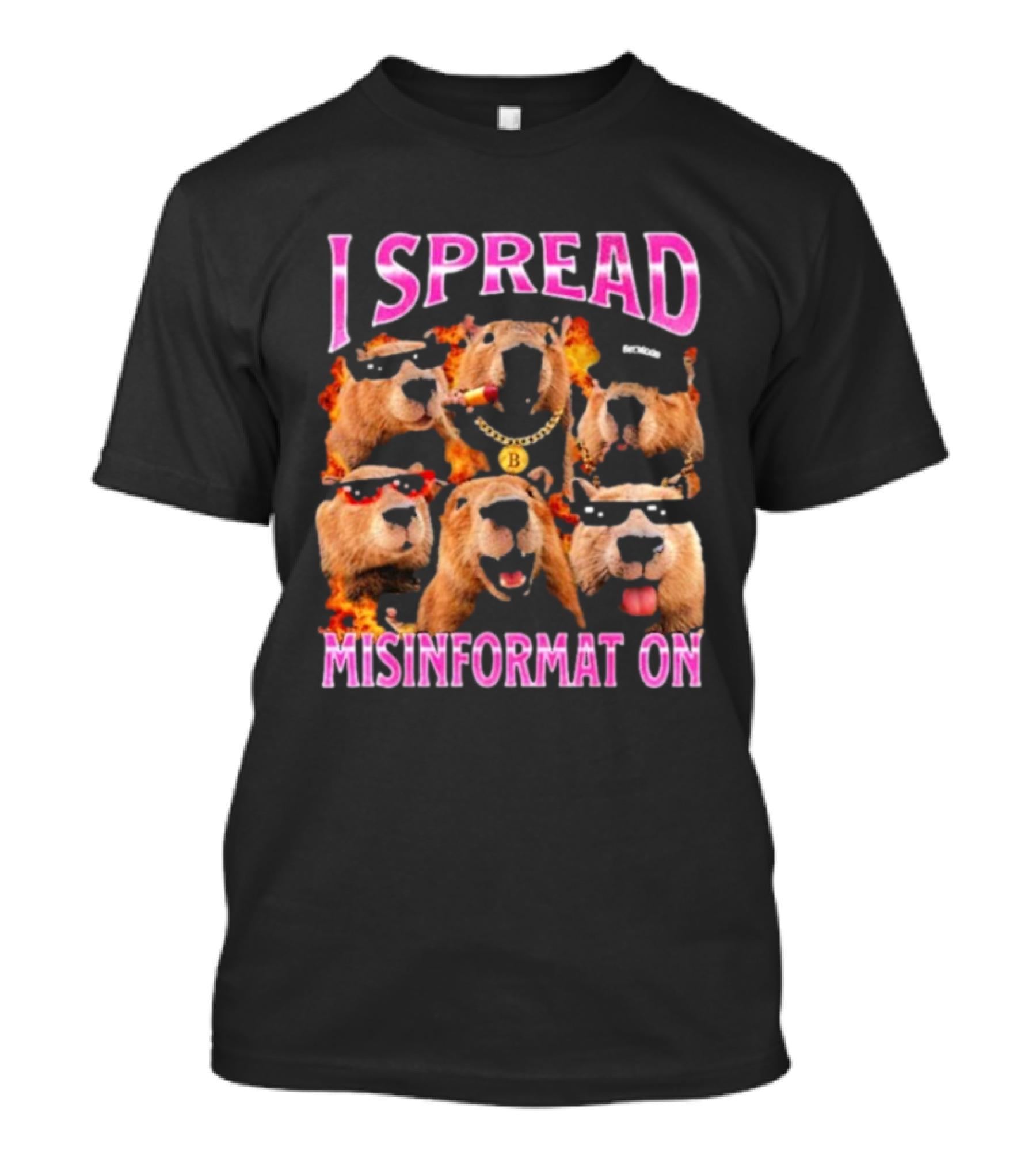 I Spread Misinformation Capybara Meme With Cool Capybaras In Sunglasses And Accessories T-Shirt