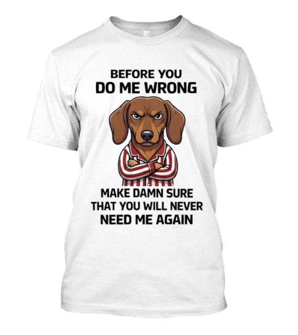 Grumpy Dog Before You Do Me Wrong Make Damn Sure You Will Never Need Me Again T-Shirt