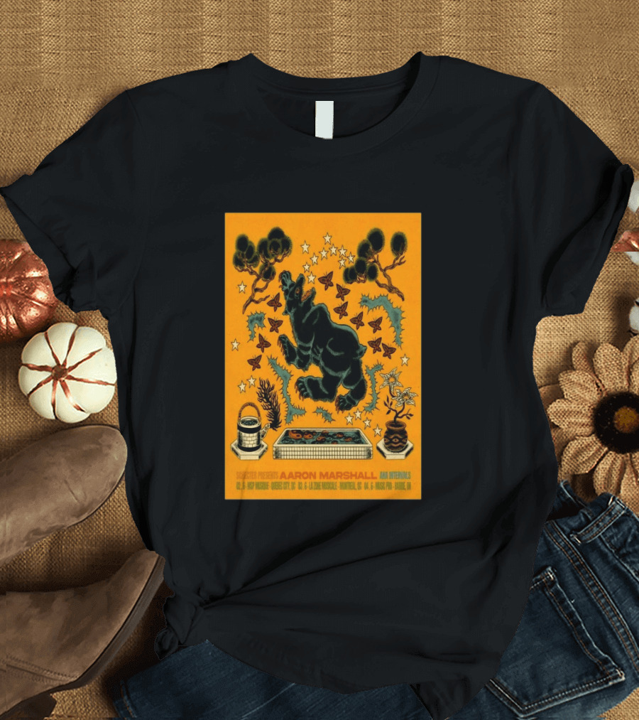 Aaron Marshall Intervals 2026 Canadian Clinic Tour Quebec City Montreal Barrie T-Shirt