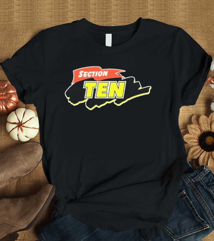 Section Ten Cartoon T-Shirt
