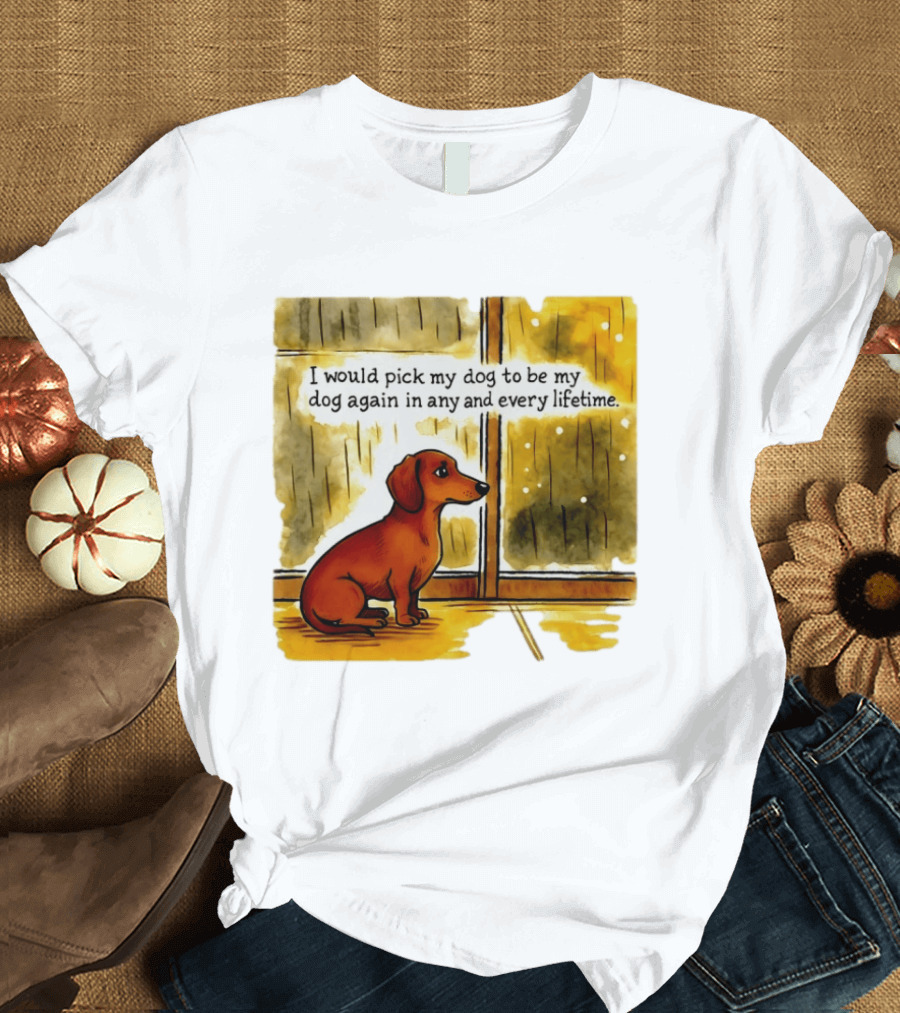 I Would Pick My Dog To Be My Dog Again In Any And Every Lifetime Dachshund By Window T-Shirt