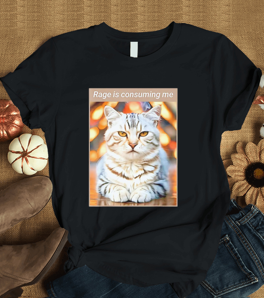 Cat Rage Is Consuming Me Meme Tiger Stripes T-Shirt