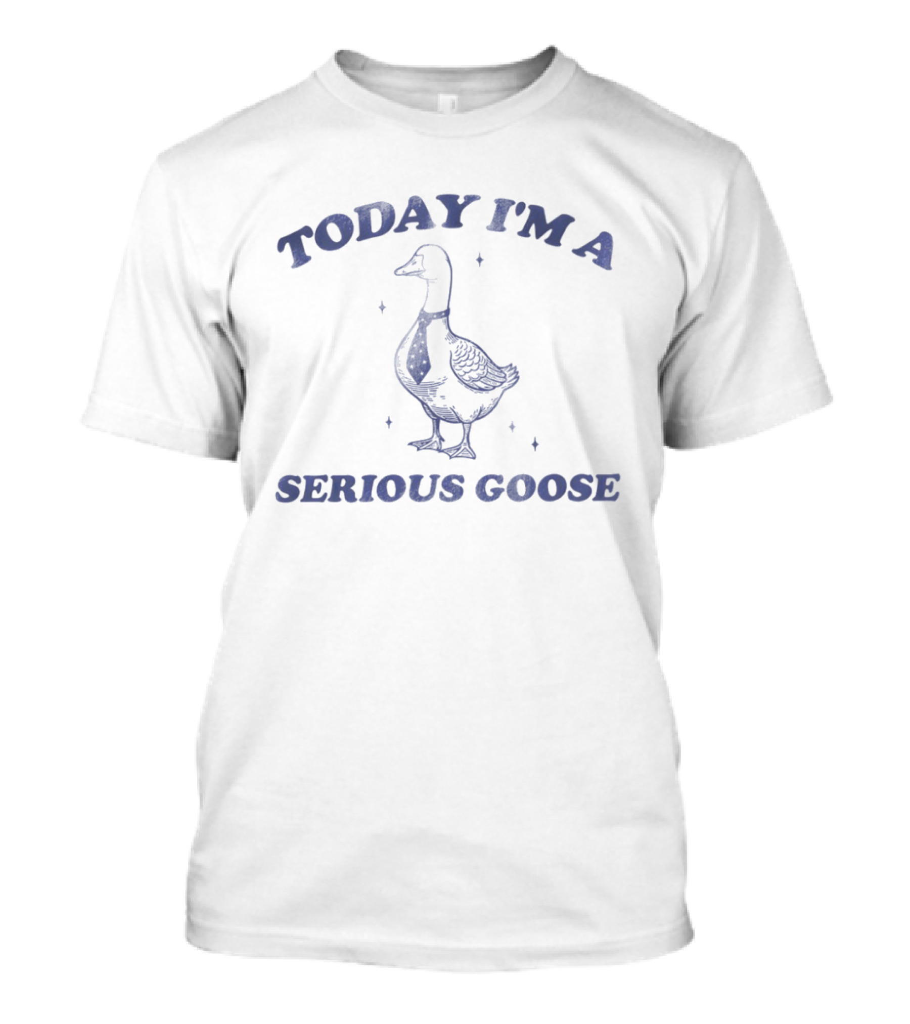 Today I'm A Serious Goose Vintage Goose T-Shirt