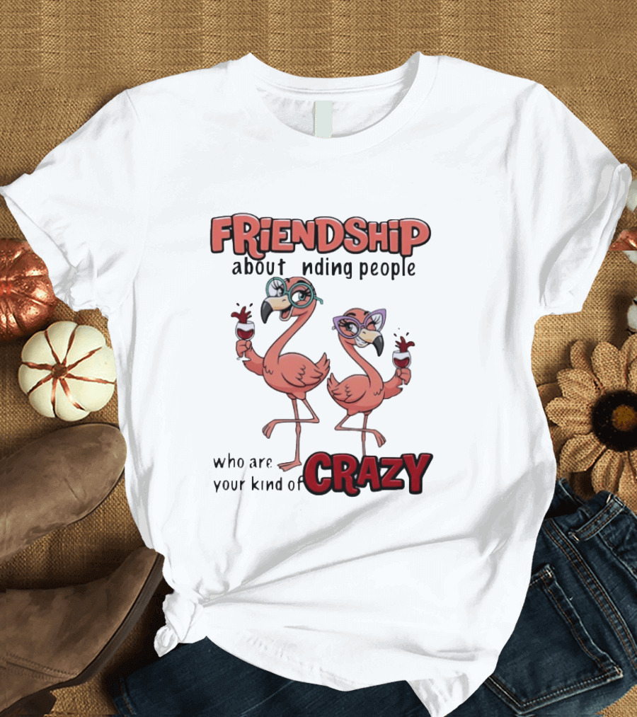 FRIENDSHIP About Finding People Who Are Your Kind Of CRAZY Flamingo Humor T-Shirt
