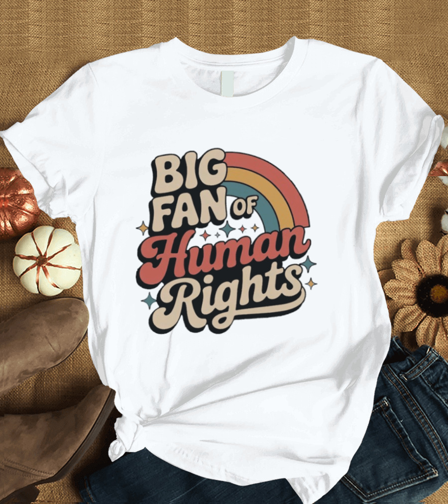 Big Fan Of Human Rights Retro Rainbow T-Shirt