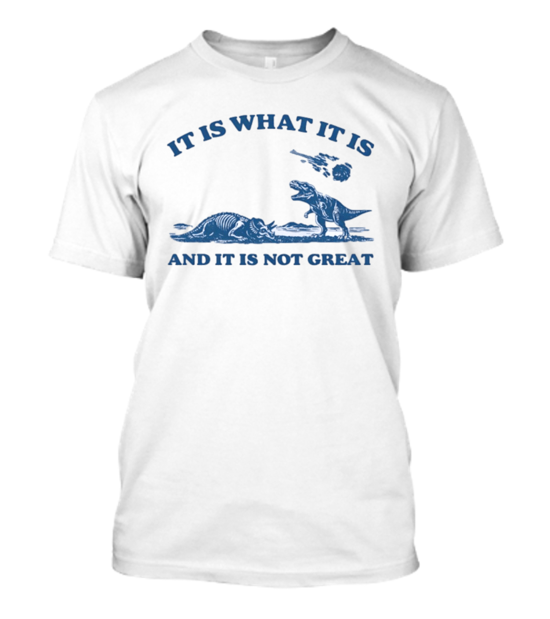 It Is What It Is Dinosaur And It Is Not Great T-Shirt