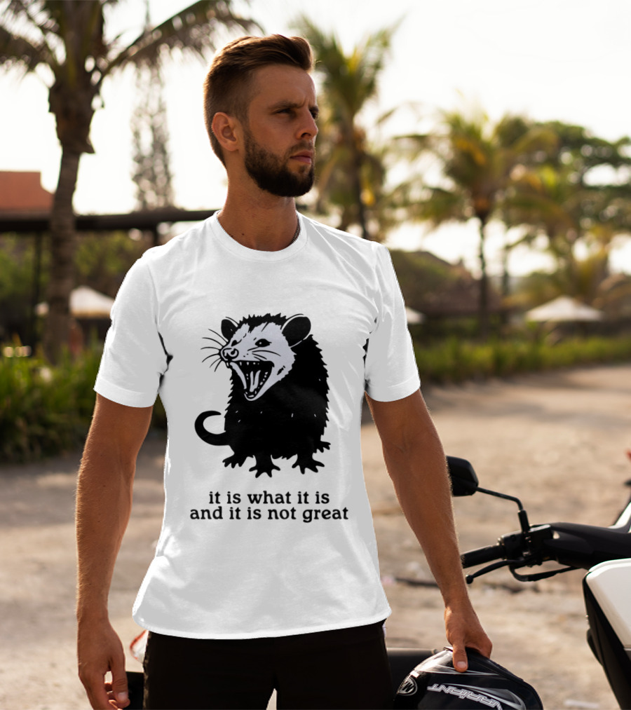 It Is What It Is And It Is Not Great Opossum T-Shirt