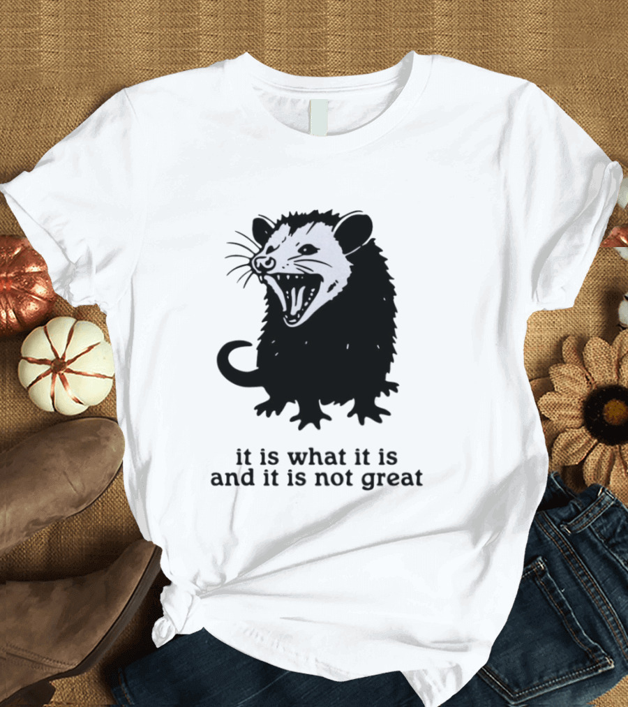 It Is What It Is And It Is Not Great Opossum T-Shirt