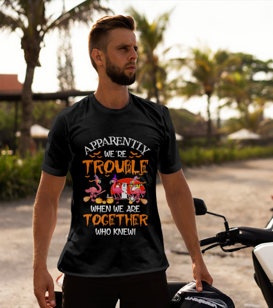 Apparently We're Trouble Flamingos Halloween Together Who Knew T-Shirt