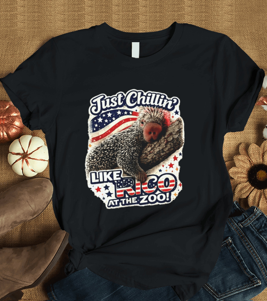Just Chillin' Like Rico At The Zoo Patriotic Porcupine Vibes T-Shirt