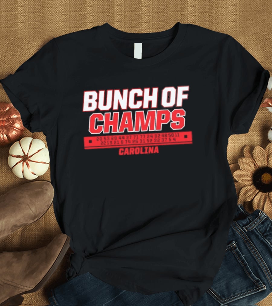 Carolina Hurricanes Bunch Of Champs 2026 T-Shirt