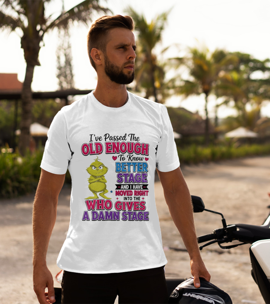 Passed The Old Enough To Know Better Moved Right Into The Who Gives A Damn Stage T-Shirt