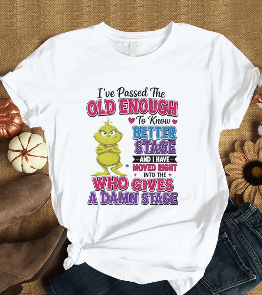 Passed The Old Enough To Know Better Moved Right Into The Who Gives A Damn Stage T-Shirt