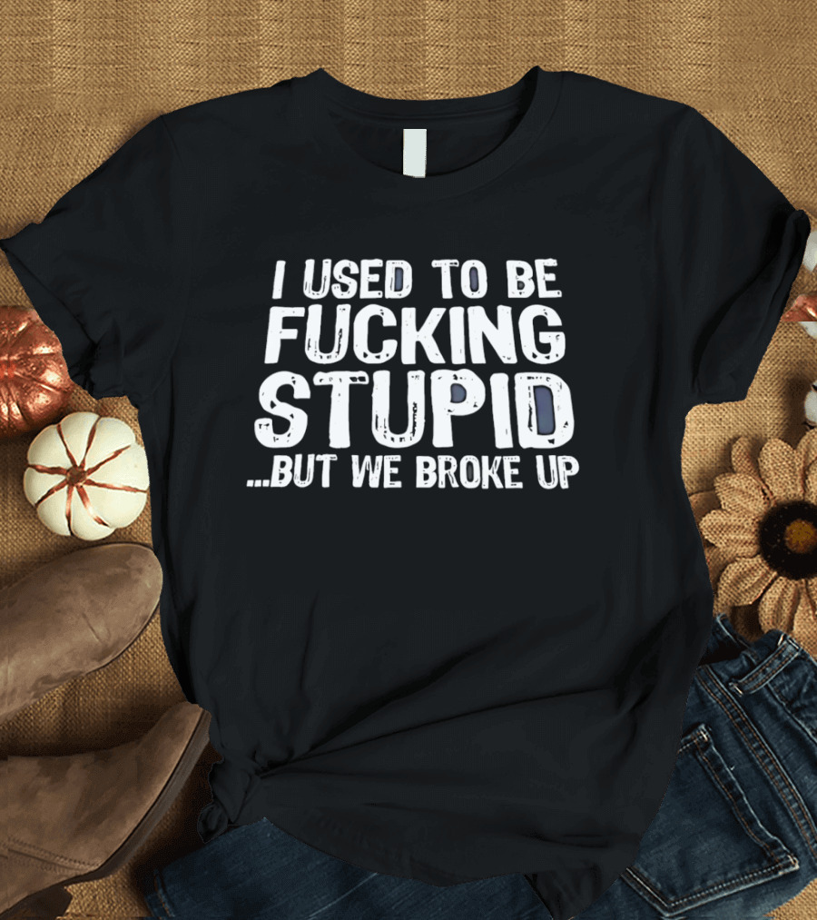 I Used To Be Fucking Stupid But We Broke Up T-Shirt