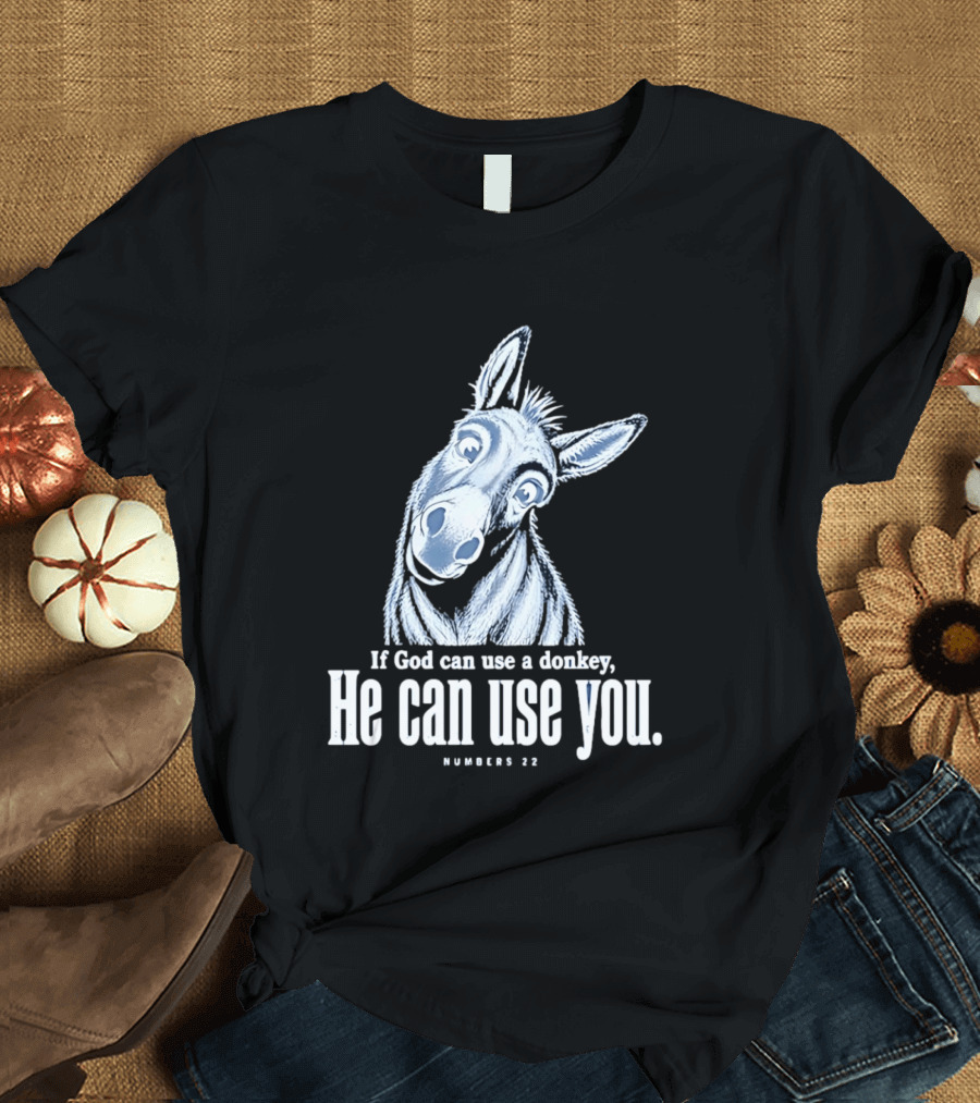 If God Can Use A Donkey He Can Use You Cartoon Donkey Numbers 22 T-Shirt