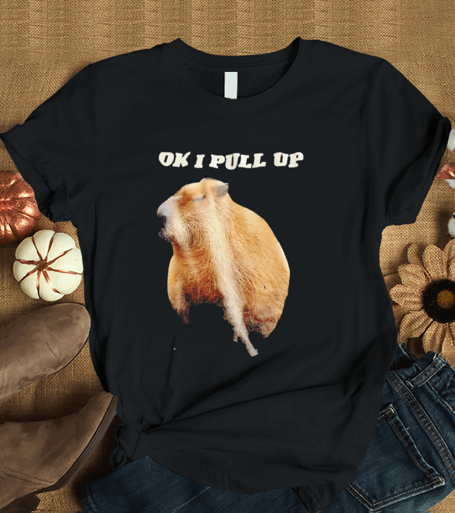 Ok I Pull Up Capybara Meme T-Shirt