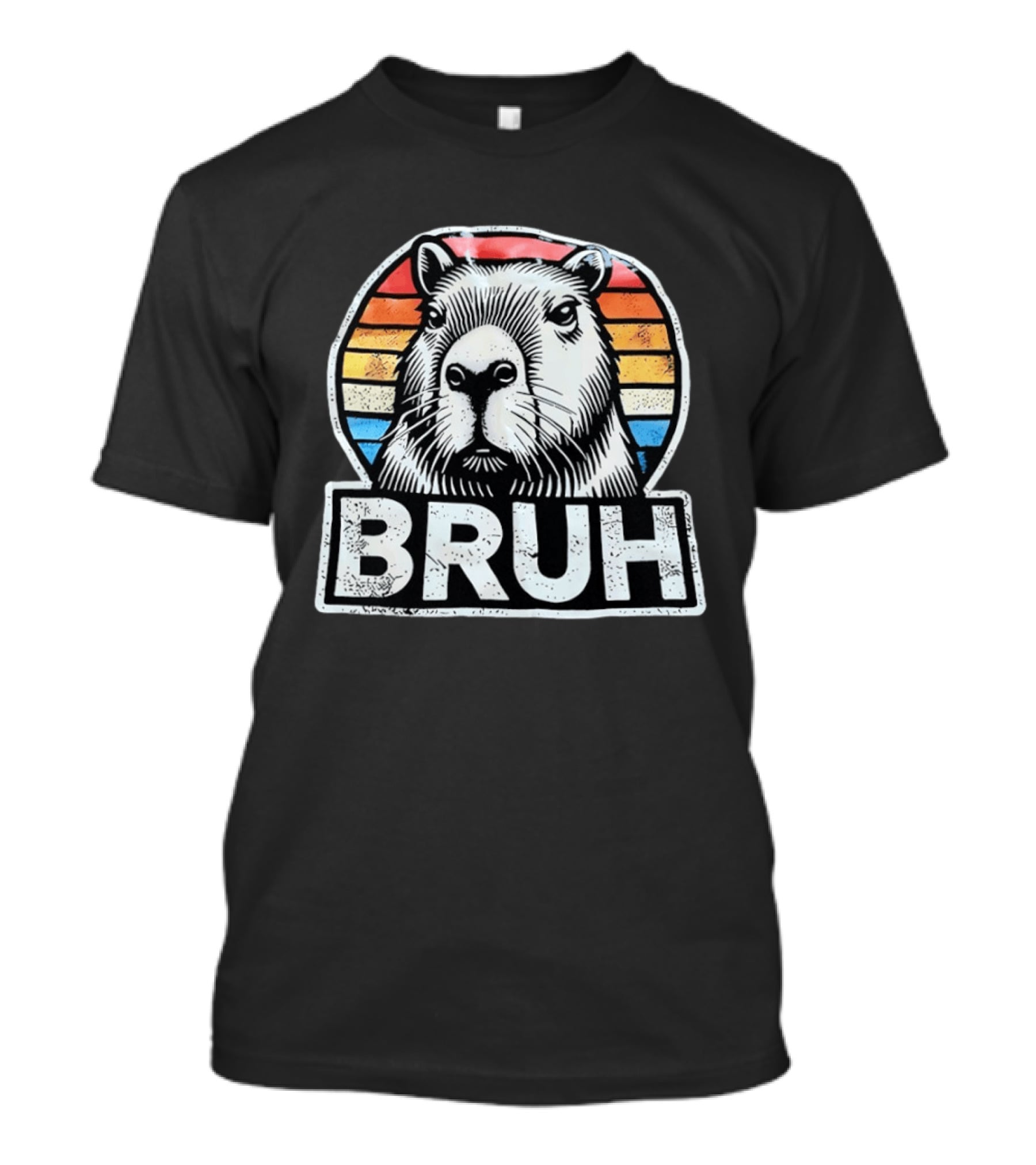 Capybara Bruh Retro Sunset Animal T-Shirt