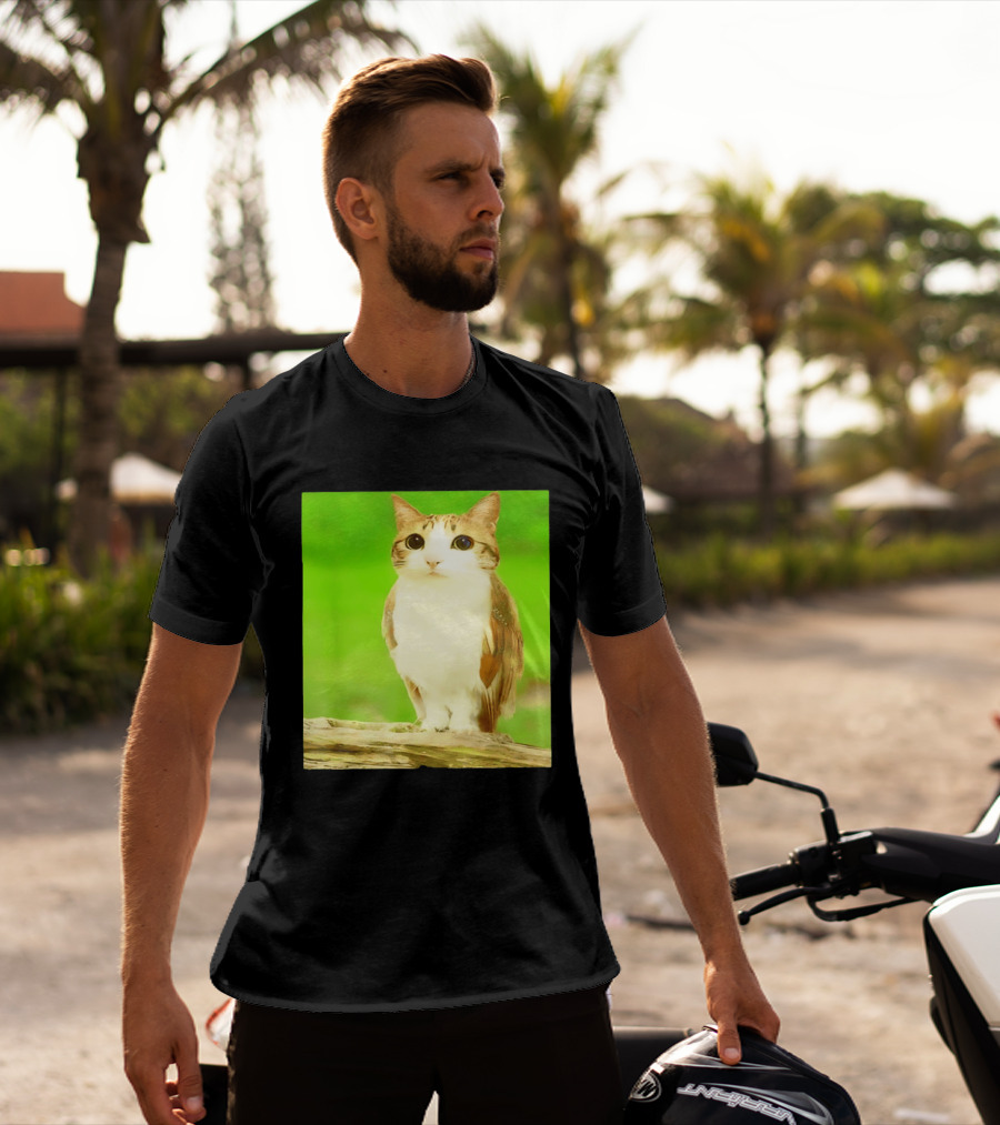 Cat Owl Hybrid Animal Mashup Creature Fusion T-Shirt