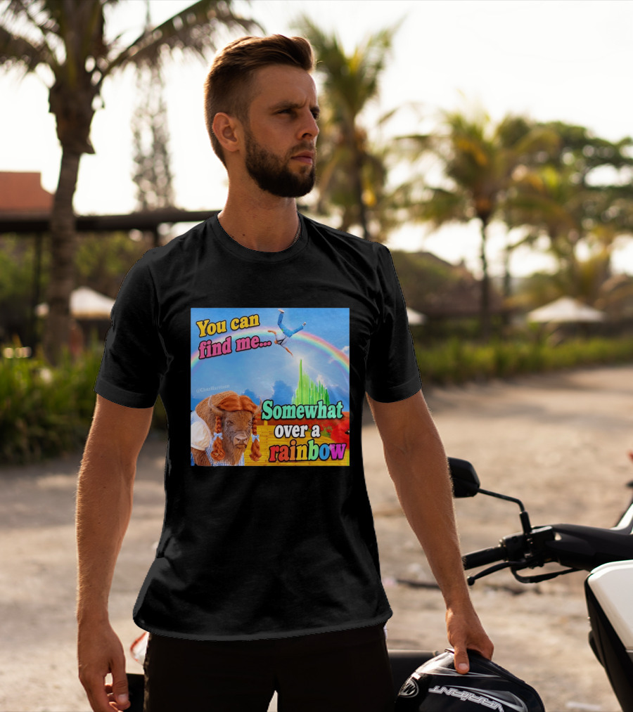 You Can Find Me Somewhat Over A Rainbow Bison Meme T-Shirt
