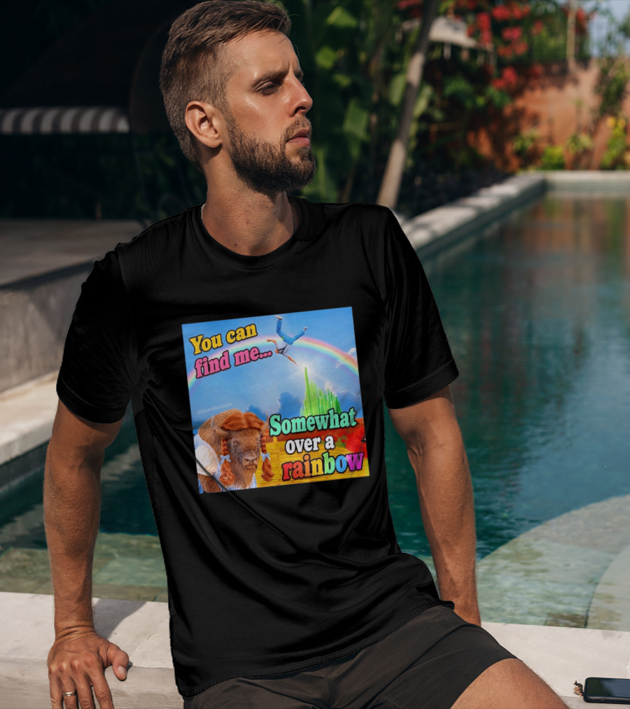 You Can Find Me Somewhat Over A Rainbow Bison Meme T-Shirt