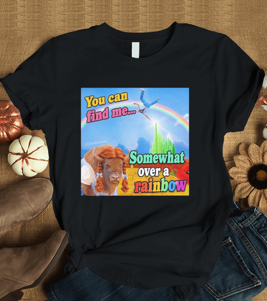 You Can Find Me Somewhat Over A Rainbow Bison Meme T-Shirt
