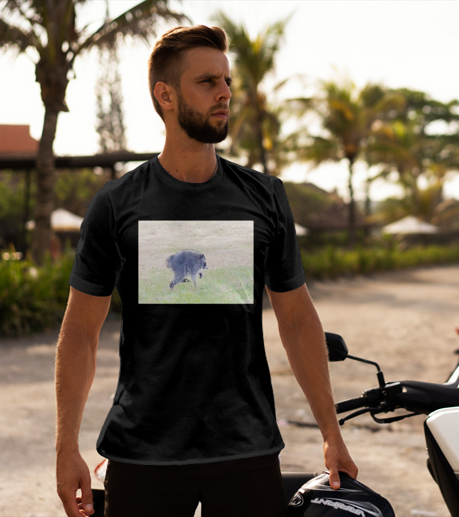 Jimothy Raccoon Walking In Grassy Field Wildlife Scene T-Shirt