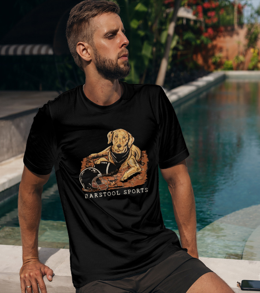 Barstool Sports Fall Football Dog With Helmet And Leaves T-Shirt