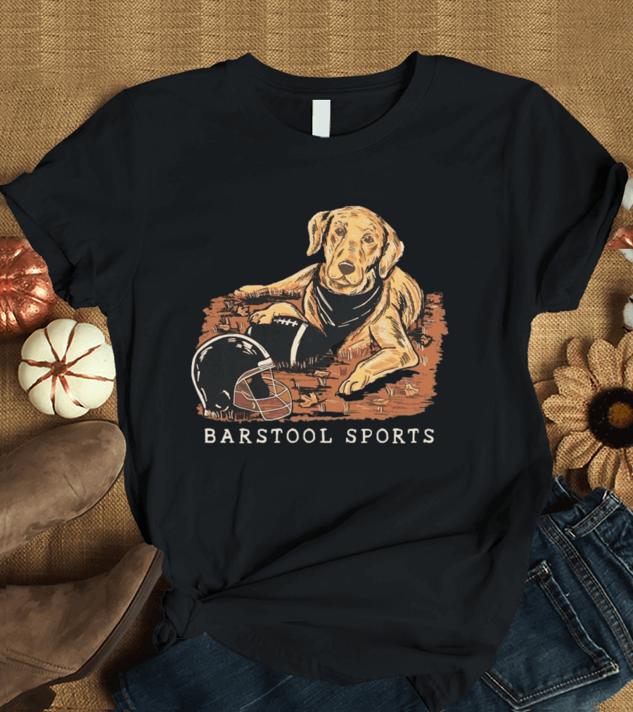 Barstool Sports Fall Football Dog With Helmet And Leaves T-Shirt