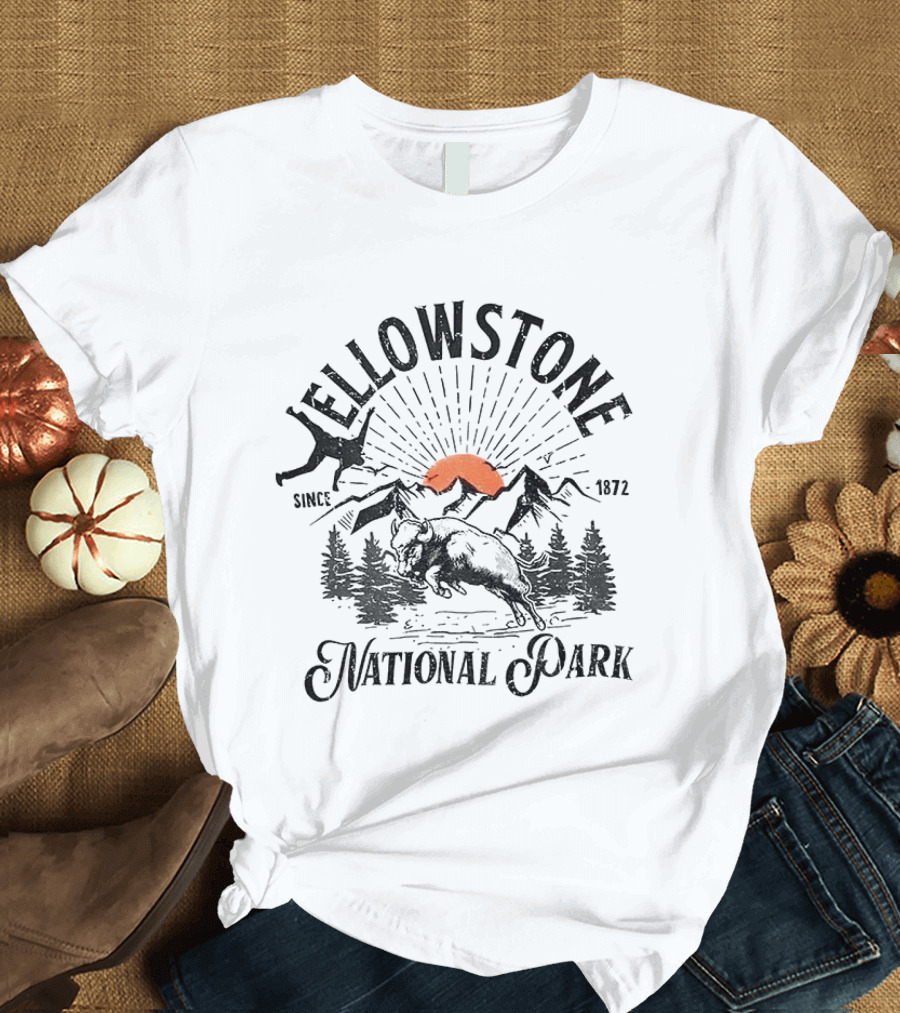 Yellowstone National Park Bison Accident Since 1872 T-Shirt