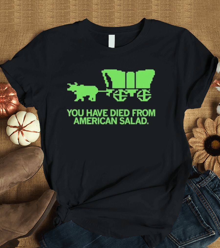You Have Died From American Salad Ox Cart Retro Gaming Spoof T-Shirt