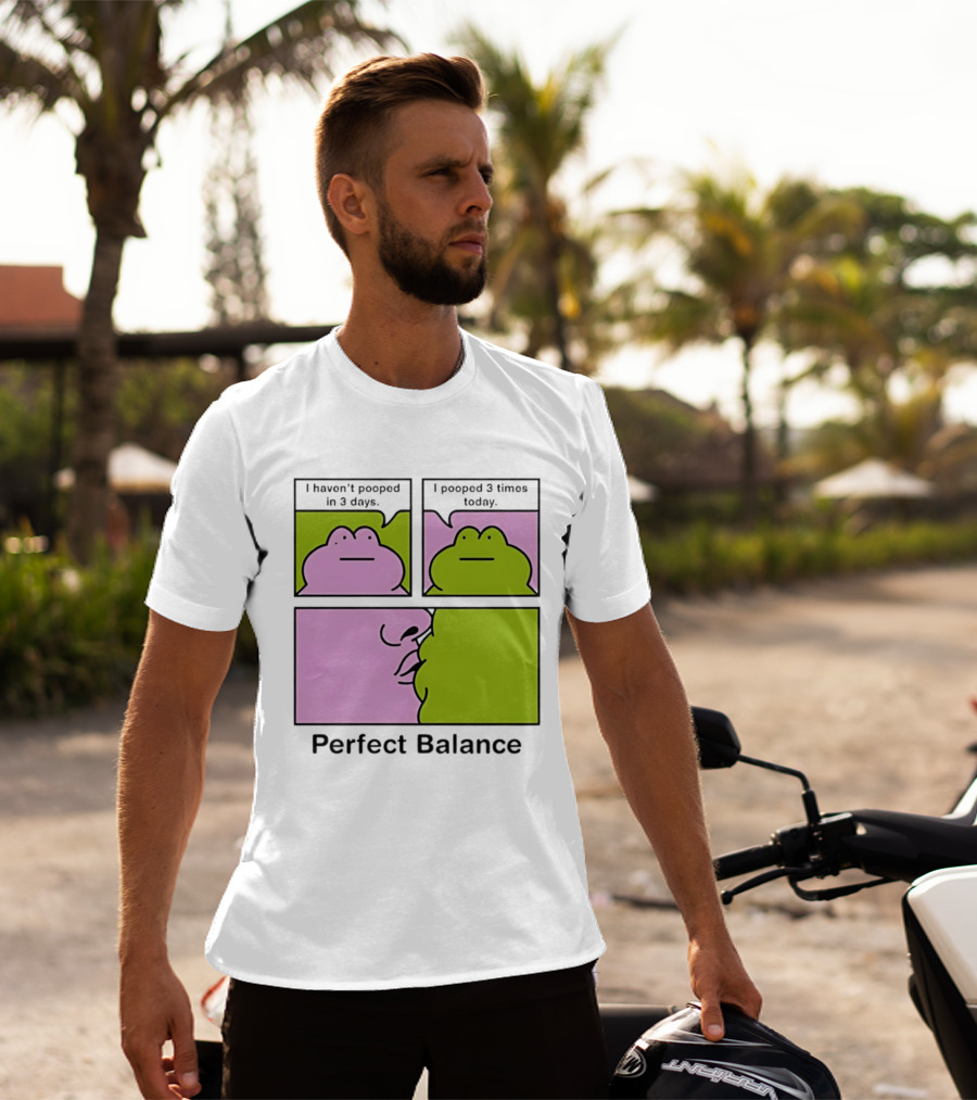 Perfect Balance Frog Meme I Haven't Pooped In 3 Days Pooped 3 Times Today T-Shirt
