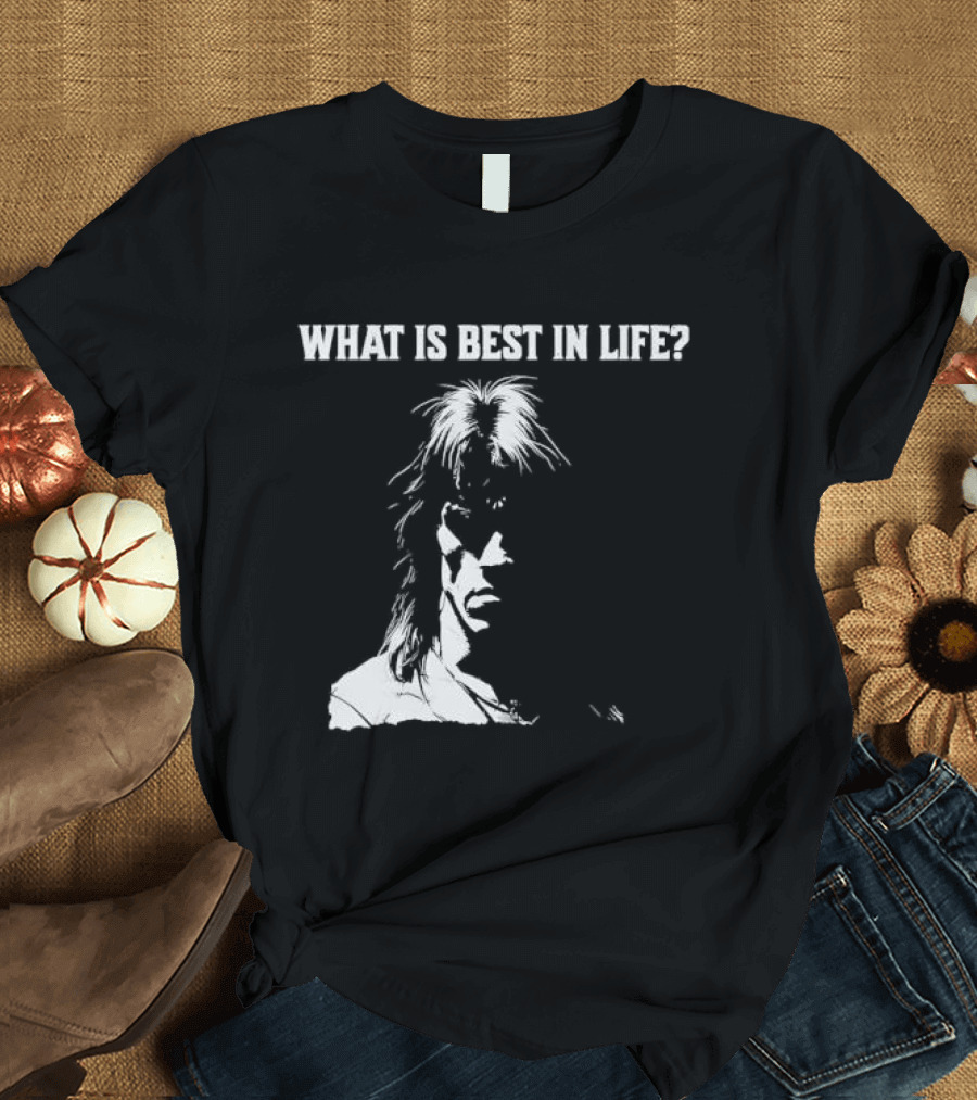What Is Best In Life Conan The Barbarian T-Shirt