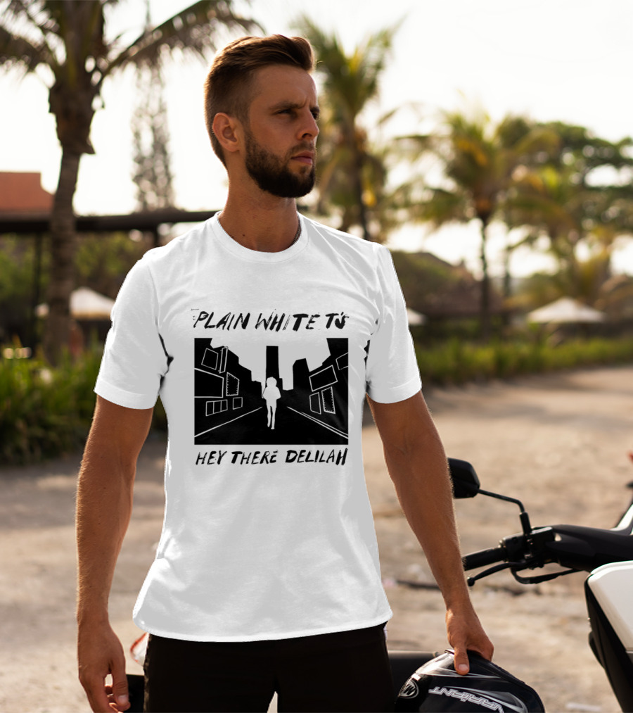 Plain White T's Hey There Delilah City T-Shirt