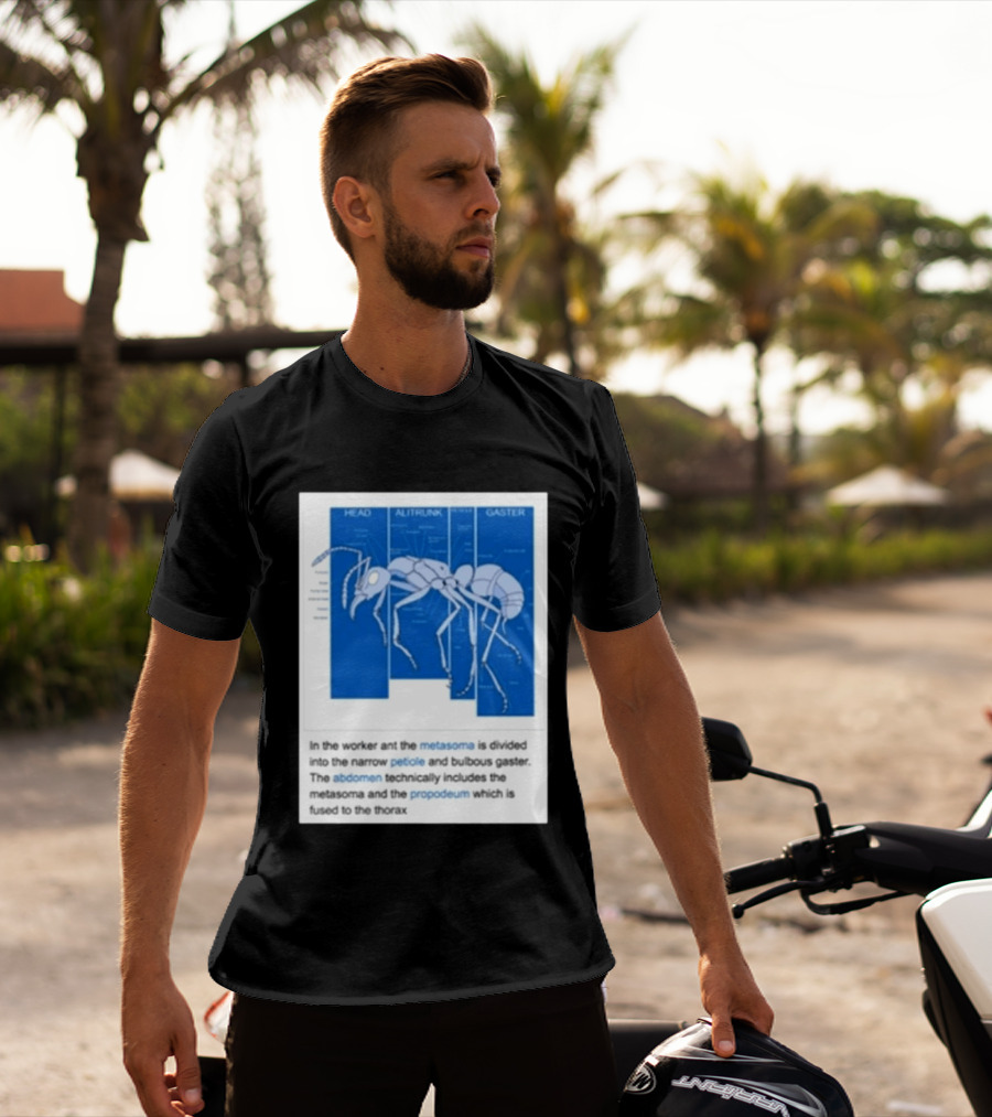 Head Alitrunk Gaster Metasoma Petiole Anatomy Of An Ant T-Shirt