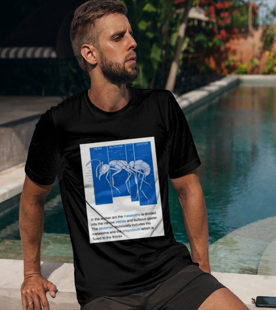 Head Alitrunk Gaster Metasoma Petiole Anatomy Of An Ant T-Shirt