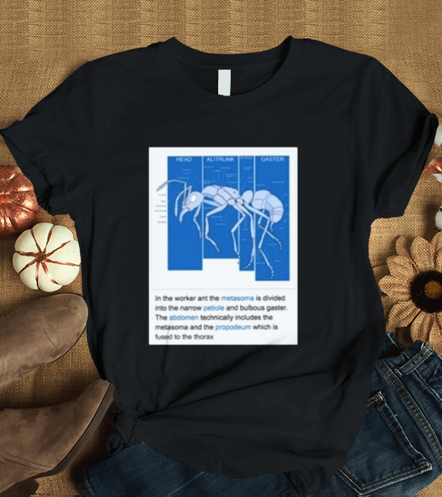 Head Alitrunk Gaster Metasoma Petiole Anatomy Of An Ant T-Shirt