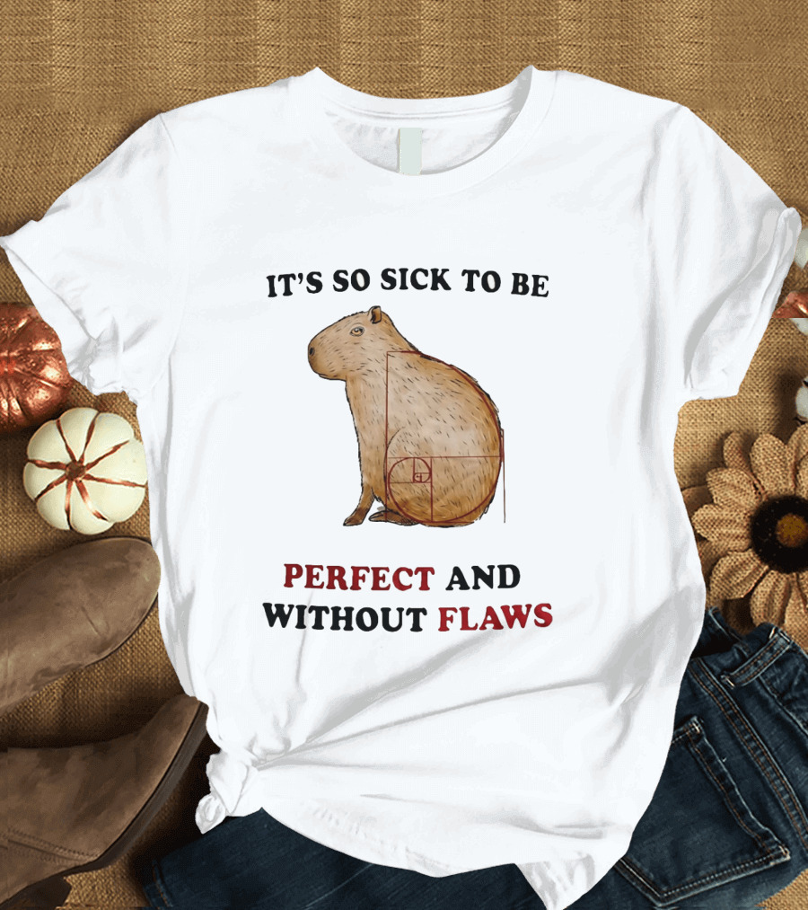 Capybara It's So Sick To Be Perfect And Without Flaws Fibonacci Spiral T-Shirt