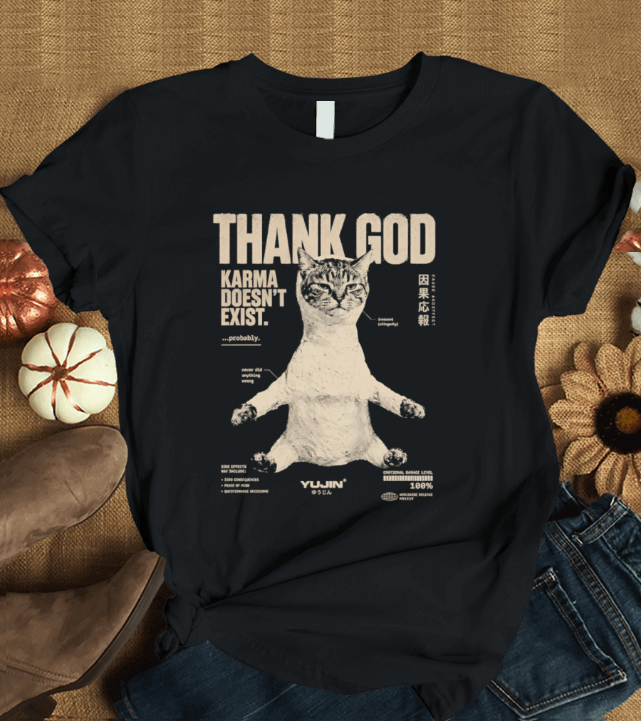Thank God Karma Doesn't Exist Probably Cat Drawing Yijun Studio Percent Diagram T-Shirt
