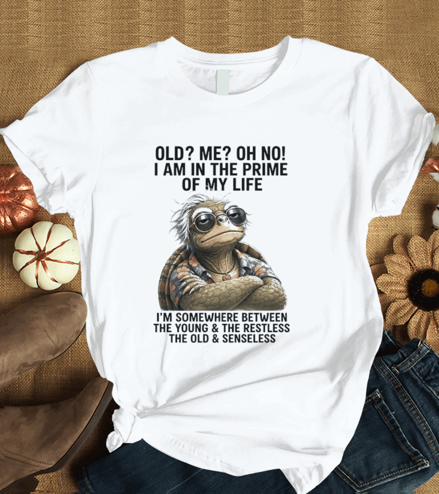 Old Me Oh No I Am In The Prime Of My Life Somewhere Between The Young And The Restless T-Shirt