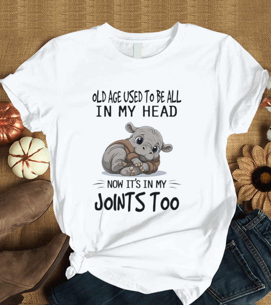 Old Age Used To Be All In My Head Now It's In My Joints Too Cute Hippopotamus T-Shirt