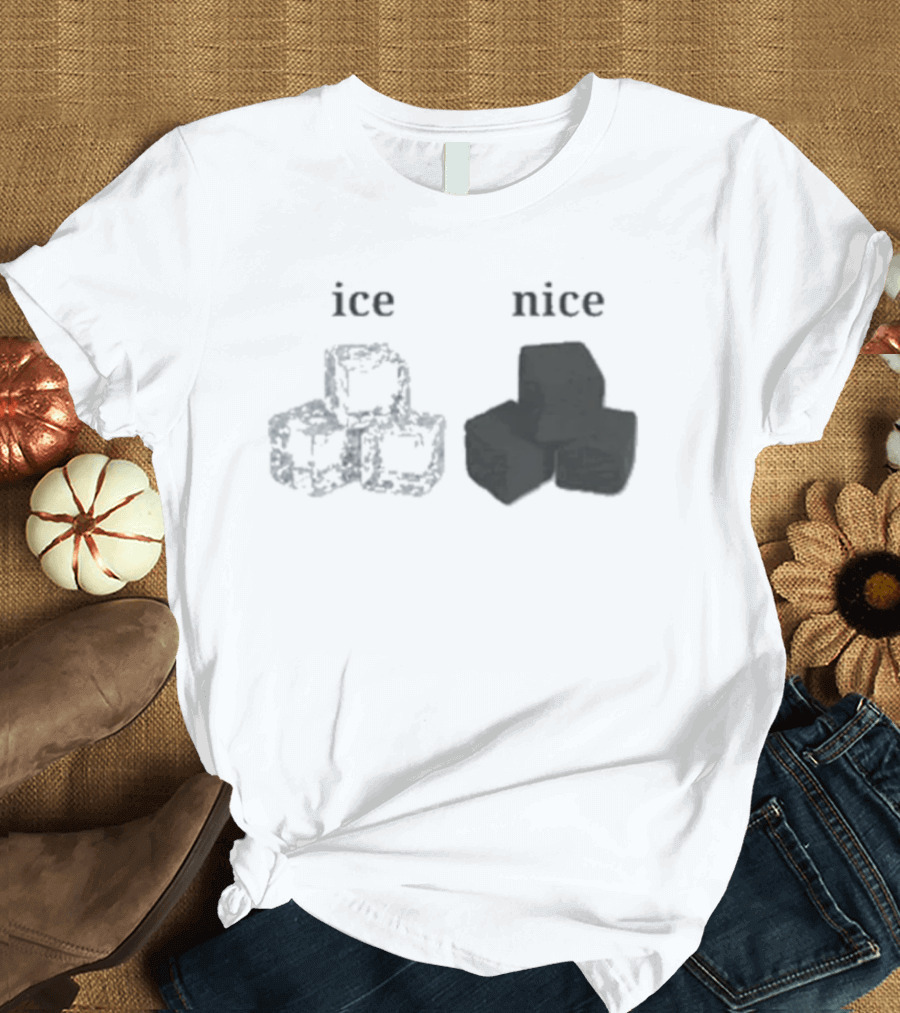 Ice Vs Nice Cubes Playful Word T-Shirt