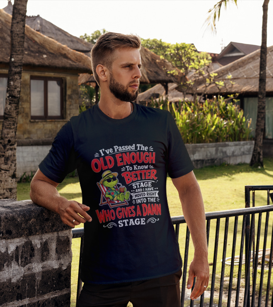 Grinch I've Passed The Old Enough To Know Better Stage Moved Right Into The Who Gives A Damn Stage T-Shirt