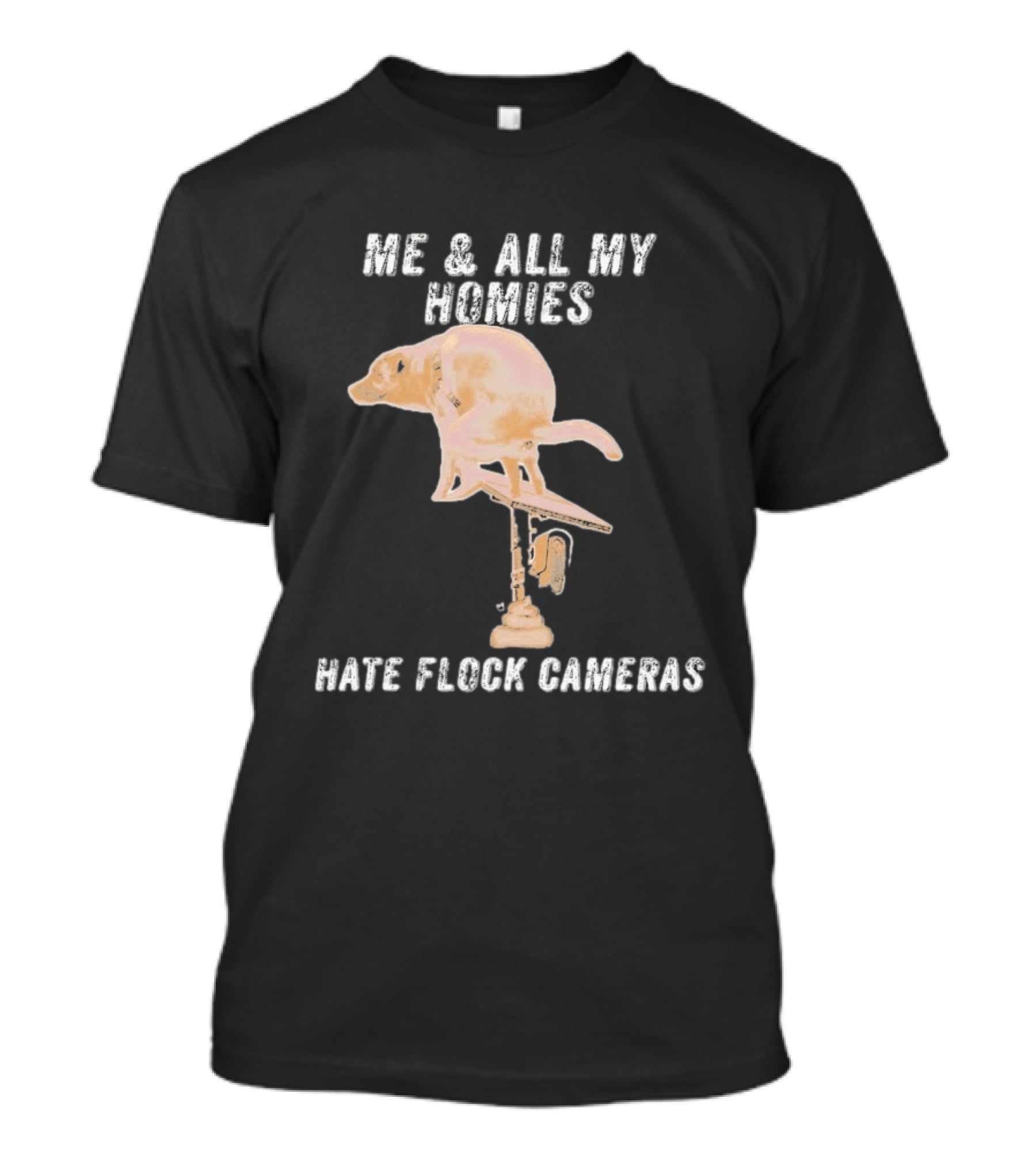 Me And All My Homies Hate Flock Cameras T-Shirt