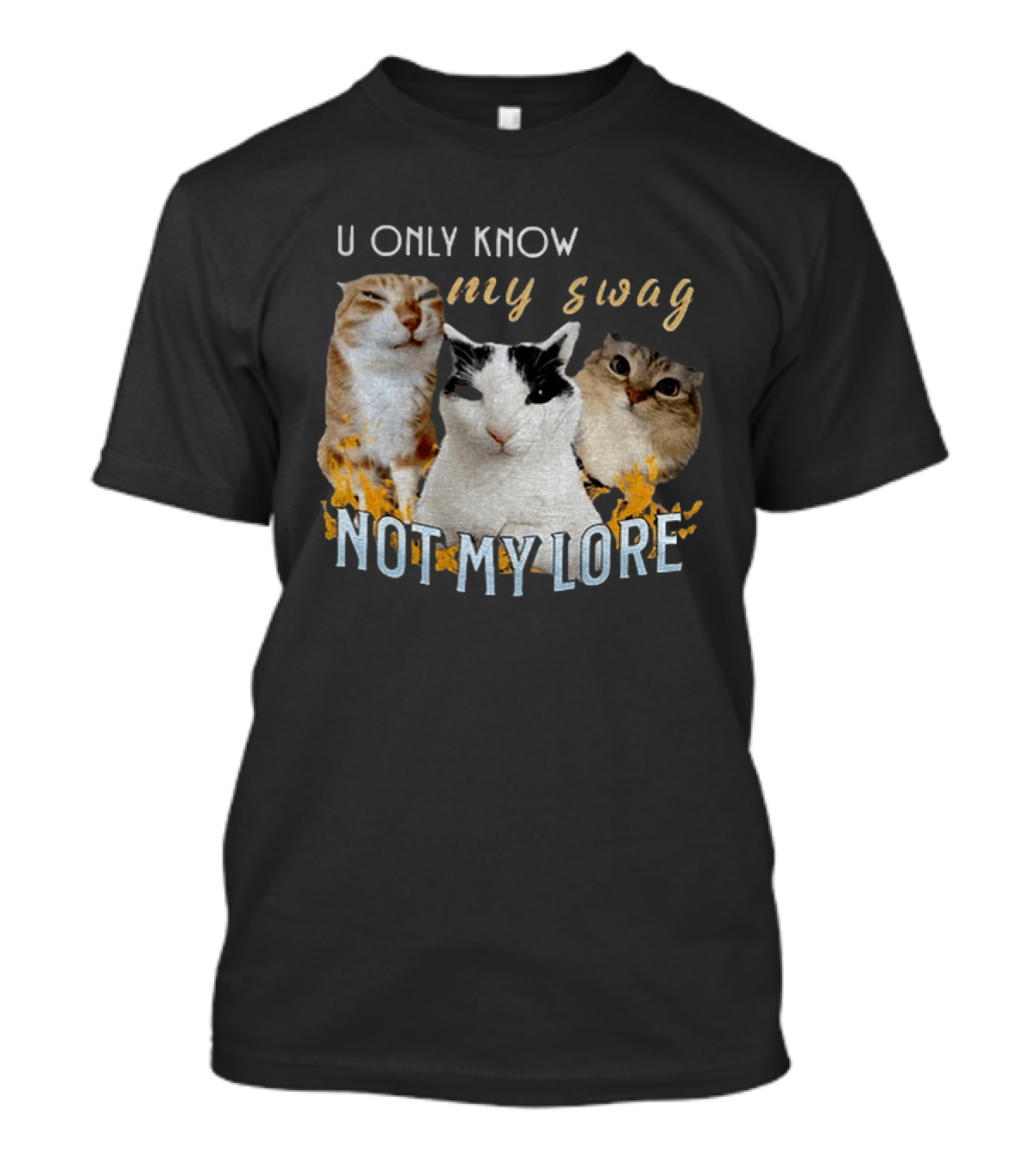 U Only Know My Swag Not My Lore Funny Cat Trio T-Shirt