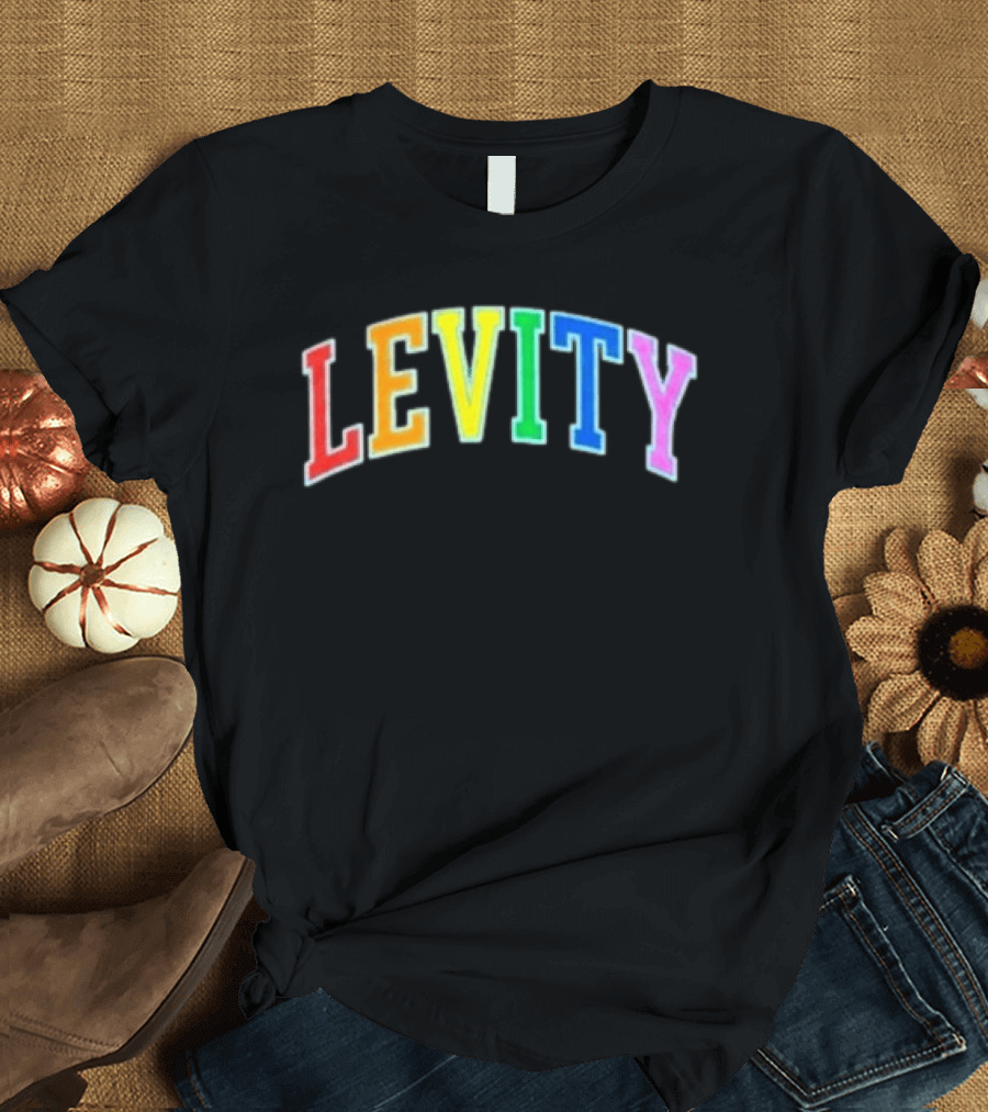 Levity You Will Now Experience Levity T-Shirt
