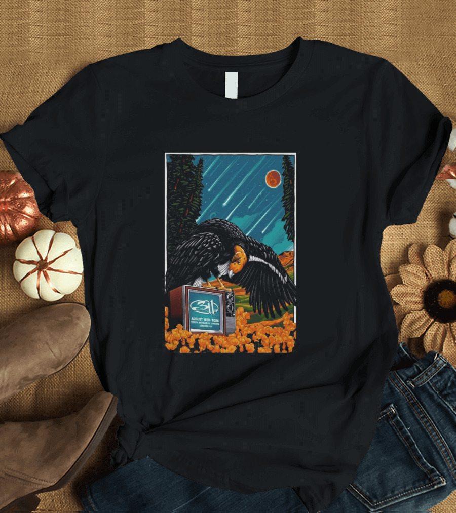 311 Toyota Pavilion Concord Event August 15 2026 California T-Shirt