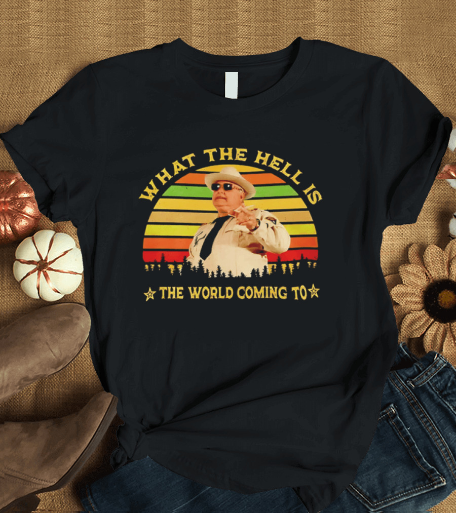 What The Hell Is The World Coming To Sheriff Buford Justice T-Shirt