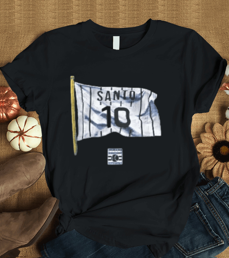 Santo 10 Baseball Hall Of Fame Pinstripe Flag T-Shirt